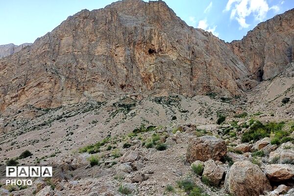 کوه های شهر بار ذخیره‌گاه گیاهان ارزشمند و کم نظیر دارویی 