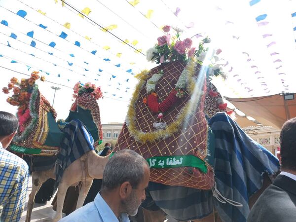 کاروان نمادین سالروز ورود حضرت معصومه(س) به قم 
