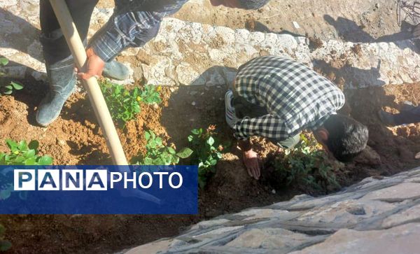کاشت گل و گیاه در شهر منج، راهی برای احیای زمین