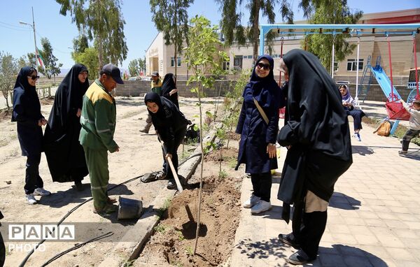آیین کاشت 168 نهال به یاد دانش‌آموزان شهید میناب در اردوگاه 15خرداد قم