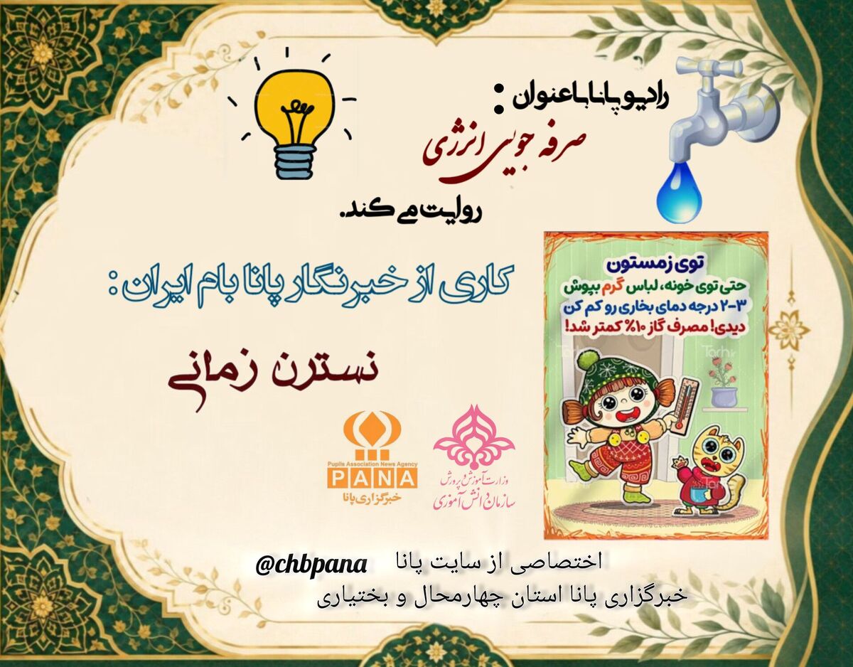 صرفه‌جویی در انرژی 