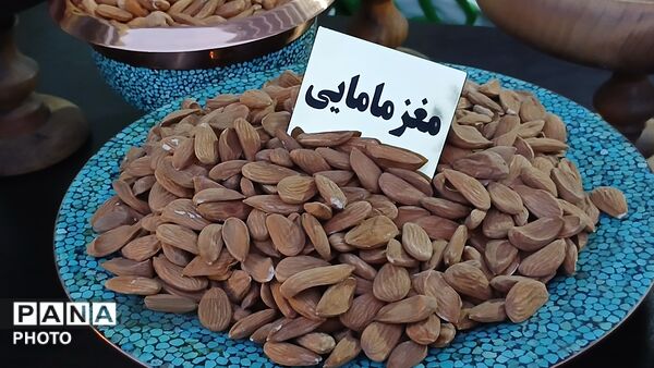 سومین جشنواره ملی بادام با حضور سفیر هند