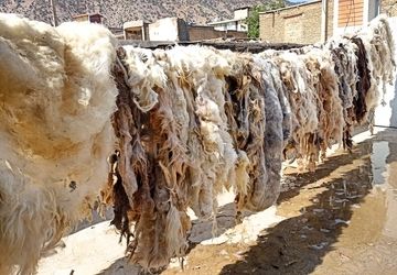 وقتی سنت و طبیعت در هم می‌آمیزند!