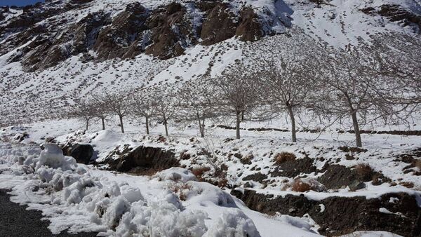 بارش برف در روستای اصقول سربیشه