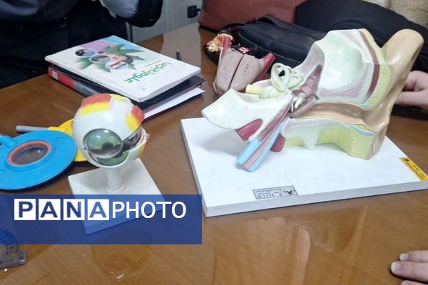  سلسله کارگاه‌های توانمندسازی طرح توانا ویژه آموزگاران ابتدایی ناحیه یک شهرری