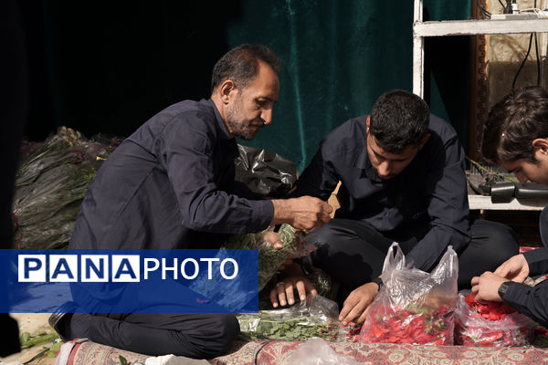 جلوه هایی از کاروان نمادین ورود کریمه اهل بیت به قم