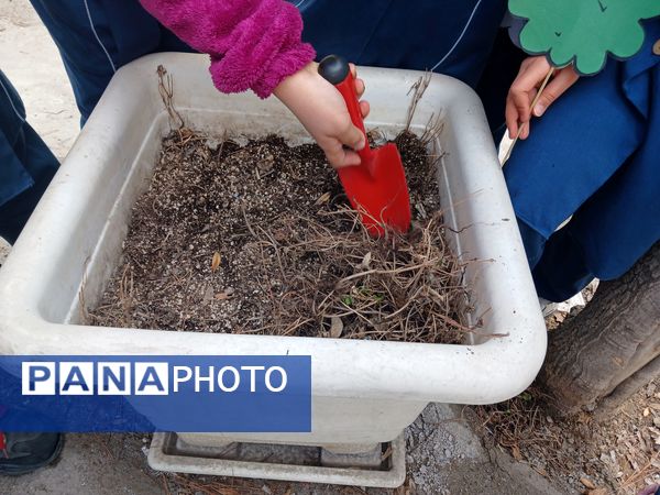 هر ایرانی، یک درخت