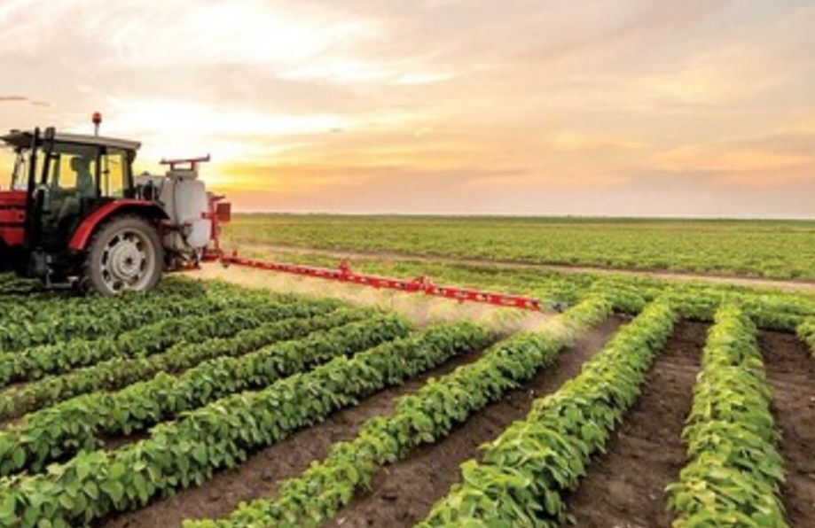 طوفان سبز در کشاورزی، دامپروری و شیلات ایران؛ وقتی رویا به واقعیت تبدیل می‌شود!