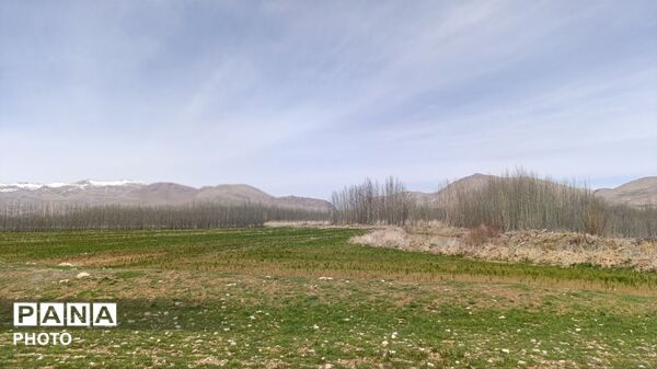 بردنکان؛ یکی دیگر از جاذبه های گردشگری روستای ده‌چشمه