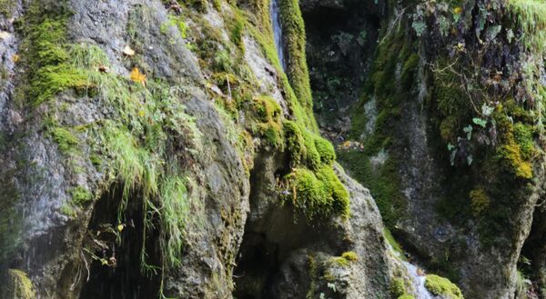طبیعت بکر باران کوه استان گلستان