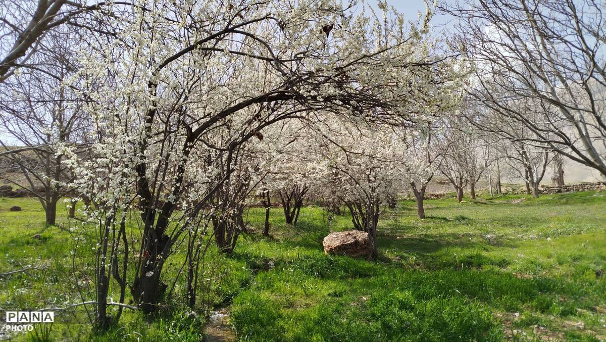زیبایی‌های دره‌باغ؛ مجموعه‌ای از تصاویر بکر و دیدنی