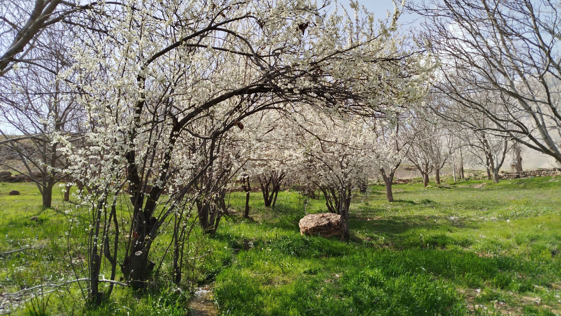 زیبایی‌های دره‌باغ؛ مجموعه‌ای از تصاویر بکر و دیدنی