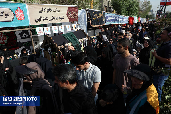 جاماندگان اربعین حسینی - تهران