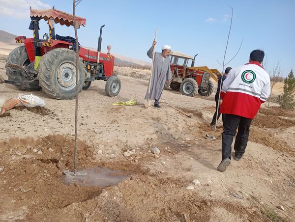 کاشت نهال در آرامستان روستای گزکوه