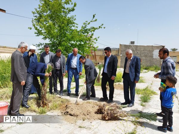 ۴ اصل نخل؛ نماد پاسداشت شهیدان و همدلی در منطقه شیب‌کوه 