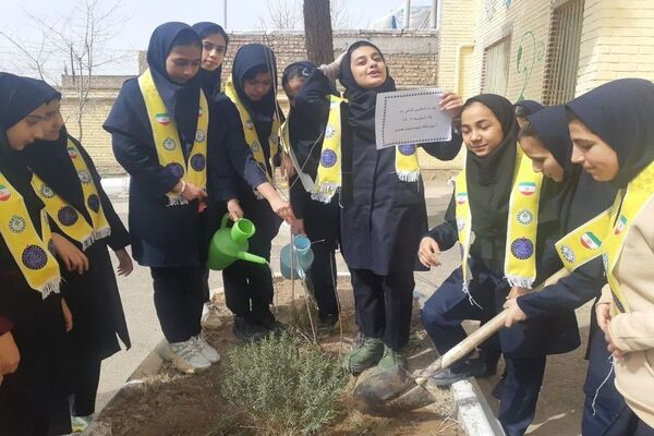 کاشت نهال به مناسبت روز درخت کاری دردبیرستان شهید مجید دهنوی 