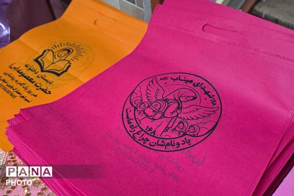 افتتاحیه طرح «حامی» در دبستان دخترانه حضرت معصومه(س) بهارستان‌دو 