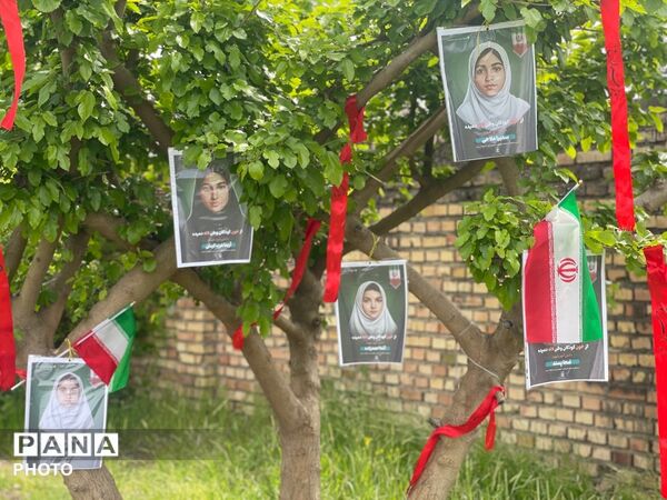 پویش ملی کاشت نهال امید در شهرستان رامیان