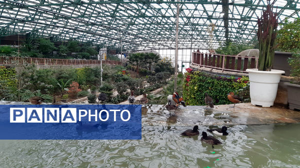 باغ پرندگان قم: جاذبه‌ای بی‌نظیر در قلب کشور