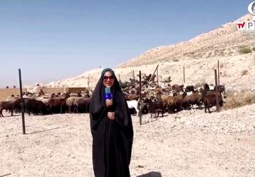 آیین امامدر و شیردوشان شهر دیباج
