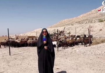 آیین امامدر و شیردوشان شهر دیباج