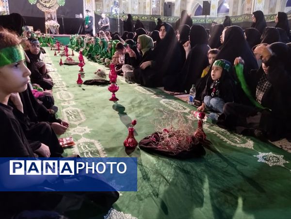 مجمع جهانی خادمان حضرت رقیه (س) در مشهد اردهال