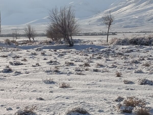 برف زمستانی مهمان شهرستان کیار شد