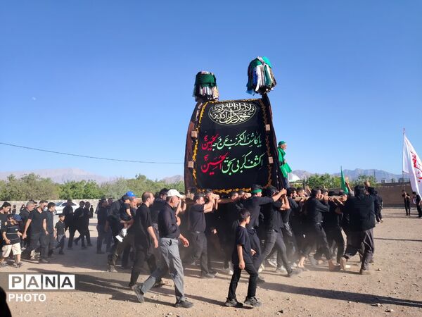 نخل‌برداری روز عاشورا در روستای صالح آباد شهرستان تفت