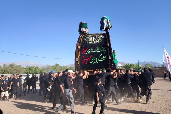 نخل‌برداری روز عاشورا در روستای صالح آباد شهرستان تفت