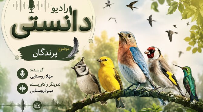 شگفتی‌های دنیای بال‌ها