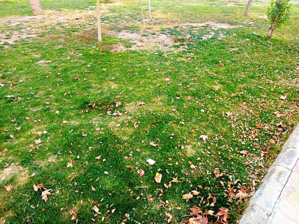 طبیعت زیبای کاشمر در پاییز