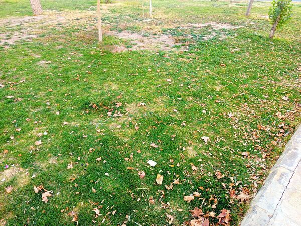طبیعت زیبای کاشمر در پاییز