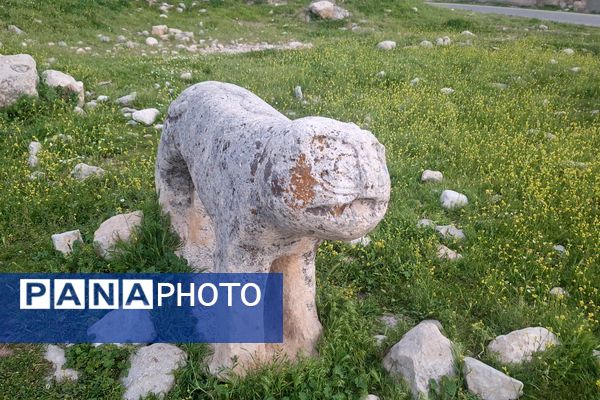 قبرستانی تاریخی و سرسبز به قدمت چند صد ساله در فارس