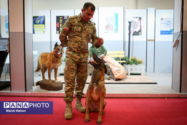 دومین نمایشگاه عمومی یاریگران زندگی