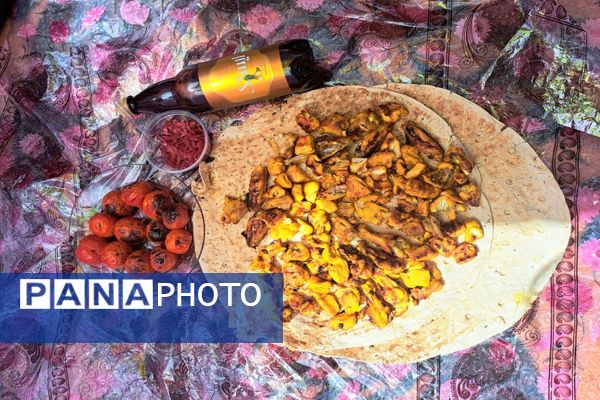 دورهمی روز طبیعت در پارک جنگلی پردیسان قم