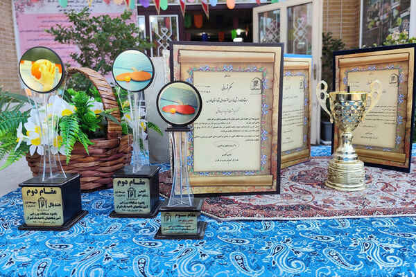 ورزش، نشاط، مدرسه 
