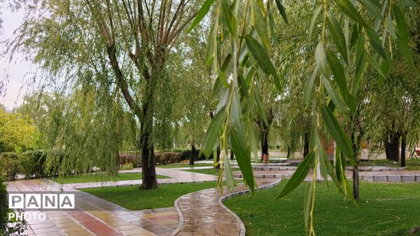 نخستین بارش باران پاییزی در شهر زیبای مهاجران 