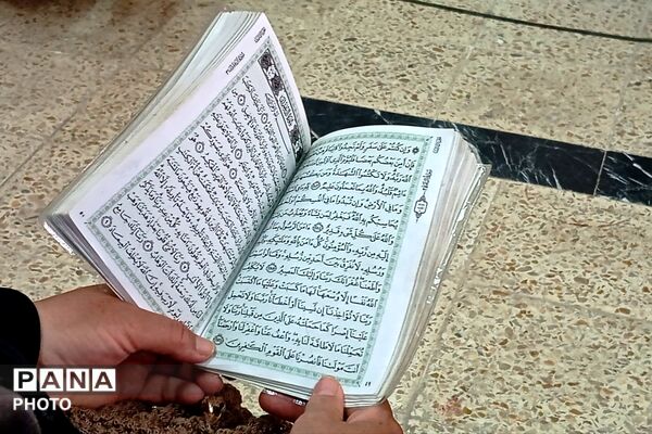ویژه برنامه «شمین رضوی» در شهر بن 
