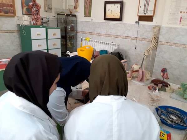 برگزاری مرحله استانی جشنواره نوآوری در بجنورد