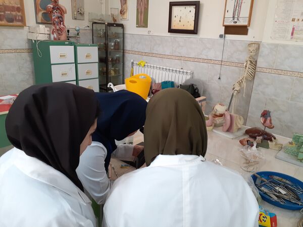 برگزاری مرحله استانی جشنواره نوآوری در بجنورد