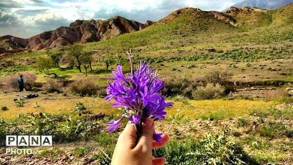 کوه های زیبای تخت پلنگ نیشابور 