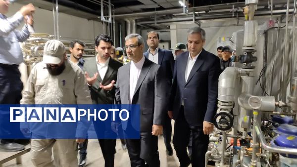 استاندار خراسان رضوی از شرکت عصاره‌گیری پردیس کاشمر بازدید کرد