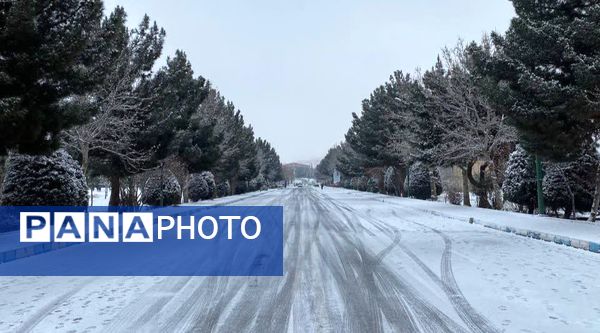 بارش برف در استان البرز 