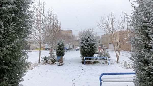 بارش نعمت الهی برف در شهرستان زیبای نیشابور 