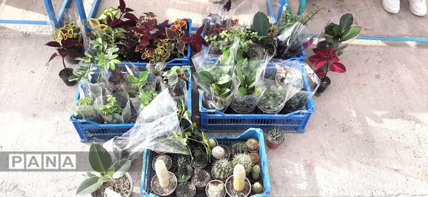 بازارچه دانش آموزی در دبیرستان حاج مهدی روحانی خلیل آباد