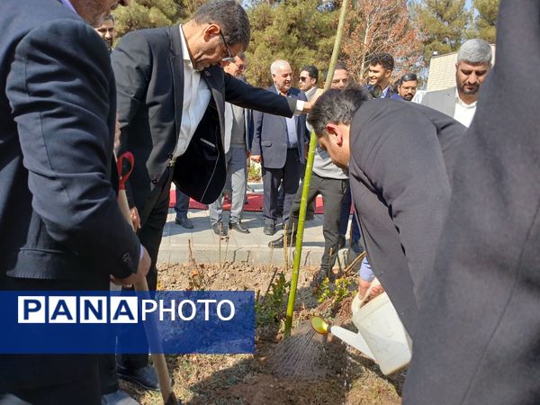 کاشت نهال یادمان صحن دانش تا کرسی قانون‌گذاری 