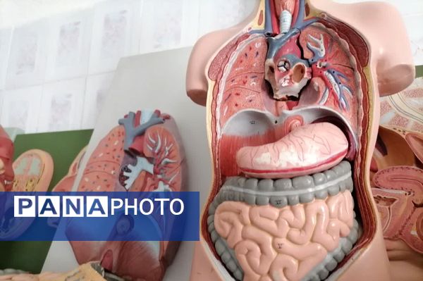 سفری علمی به پژوهش‌سرای صدرا بروجن