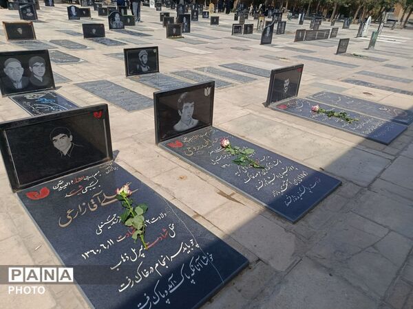 دسته عزاداری عاشقان امام رضا (ع)در بهار
