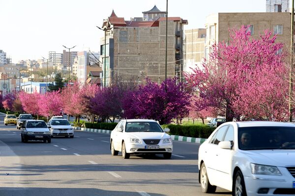 ارومیه شهر رویایی