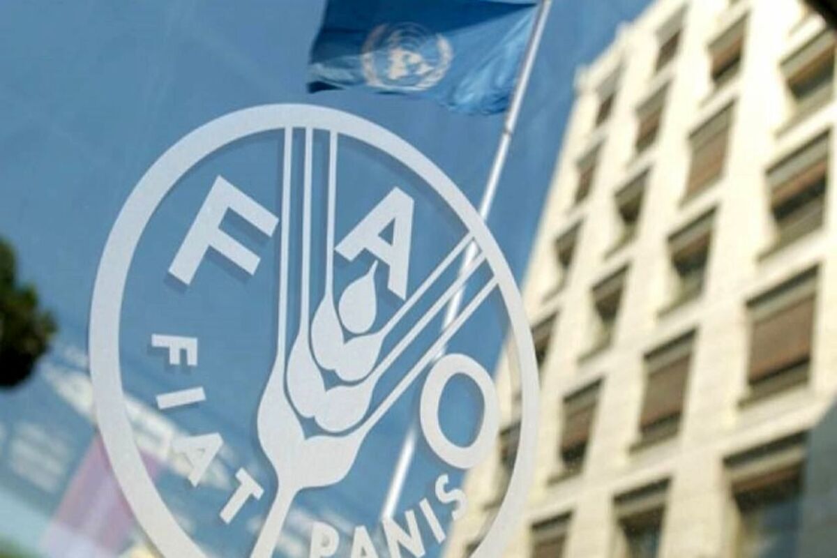 هراس از ال‌نینو قیمت مواد غذایی را در جهان افزایش داد